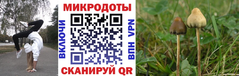Галлюциногенные грибы Cubensis  Купить где  Сольцы 